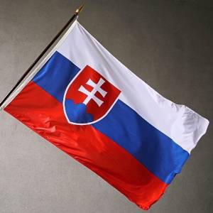Úspěchy a úskalí transformace systému péče o ohrožené děti na Slovensku